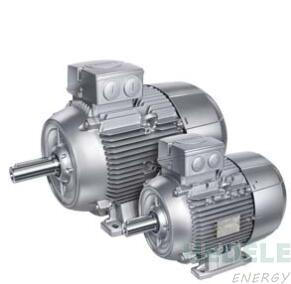 Siemens SIMOTICS GP 1LE1/1PC1 Standard Motors