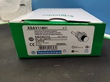 XSAV11801