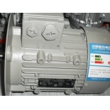 SIMOTICS TN series N-Compact Low-voltage motor, squirrel-cage rotor